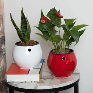 VGUC 6” Self Watering Plant Pot, African Violets/Succulents, Sturdy Plastic RED